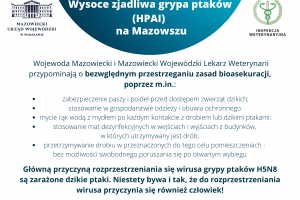 Wysoce zjadliwa grypa ptaków (HPAI) na Mazowszu – apel Wojewody