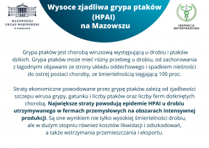 Ulotka informacyjna - Wysoce zjadliwa grypa ptaków (HPAI) na Mazowszu - część 1.