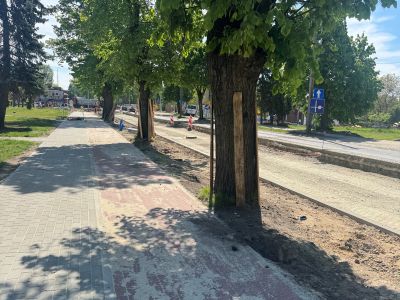 budowa rond