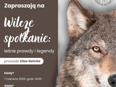 wilcze spotkanie