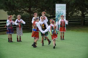 Piknik Integracyjny z Okazji Dnia Rodzicielstwa Zastępczego
