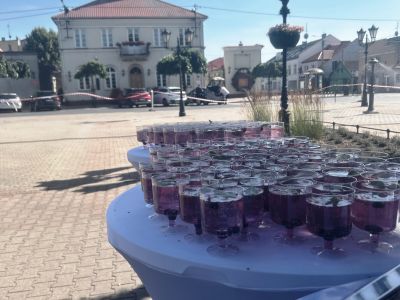 Wystawa plenerowa "Stary Gostynin na pocztówkach"