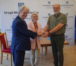 Grodzisko w Gostyninie