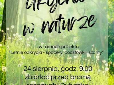 leśny spacer