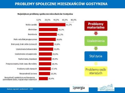 Badanie zagrożeń społecznych na terenie Miasta Gostynina