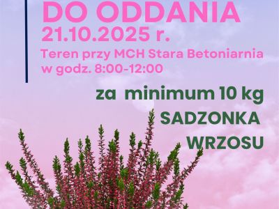 ubrania za wrzosy