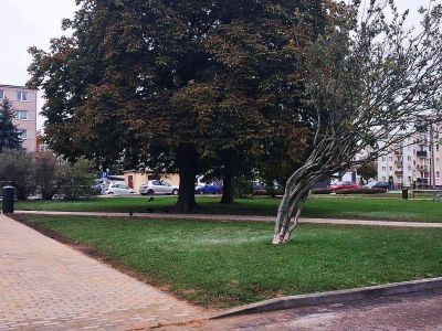 Modernizacja chodnika przy Miejskim Centrum Kultury