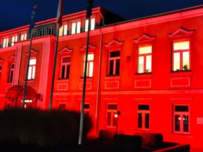 Dzieciństwo bez Przemocy