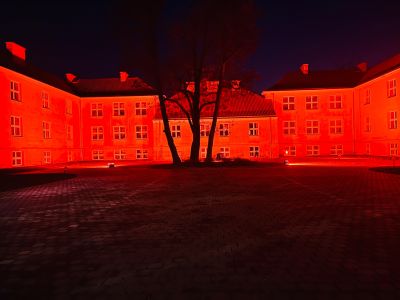 Dzieciństwo bez Przemocy