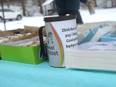 morsowanie na 4 łapy