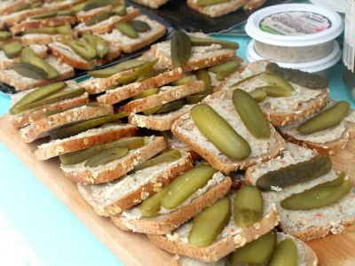 morsowanie na 4 łapy