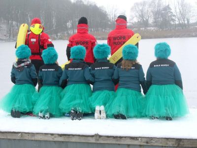 morsowanie na 4 łapy