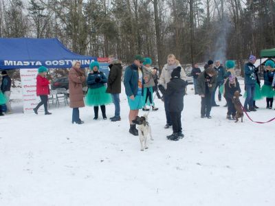 morsowanie na 4 łapy