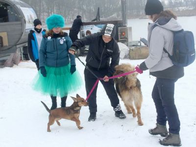 morsowanie na 4 łapy