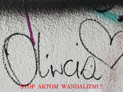 Stop aktom wandalizmu! - zdjęcia Wojciech Godlewski