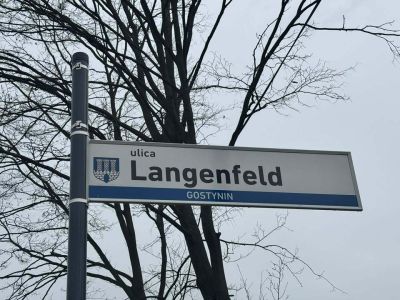 Pielęgnacja drzew na ul. Langenfeld