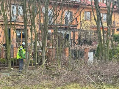 Pielęgnacja drzew na ul. Langenfeld