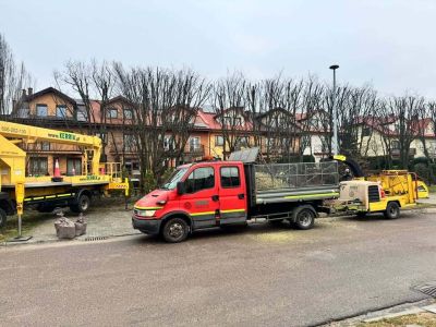 Pielęgnacja drzew na ul. Langenfeld