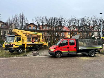 Pielęgnacja drzew na ul. Langenfeld