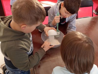 Szkoła Podstawowa nr 5 im. Księcia Mazowieckiego Siemowita IV w Gostyninie