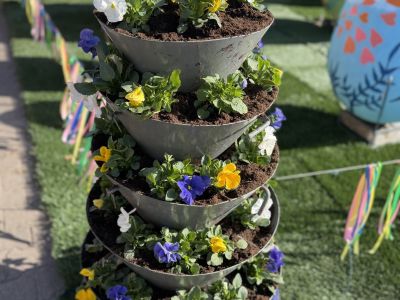 Rozpoczęliśmy pierwszy etap wiosennych nasadzeń w Gostyninie! 