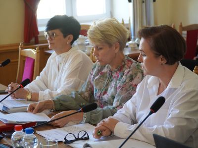 XXXI SESJI RADY MIEJSKIEJ - IX KADENCJI W GOSTYNINIE