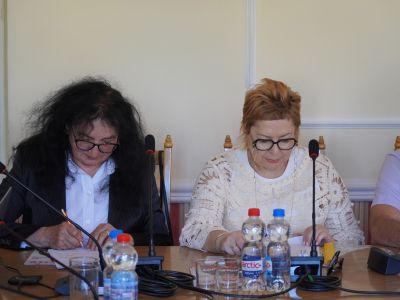 XXXI SESJI RADY MIEJSKIEJ - IX KADENCJI W GOSTYNINIE