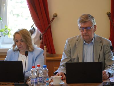 XXXI SESJI RADY MIEJSKIEJ - IX KADENCJI W GOSTYNINIE