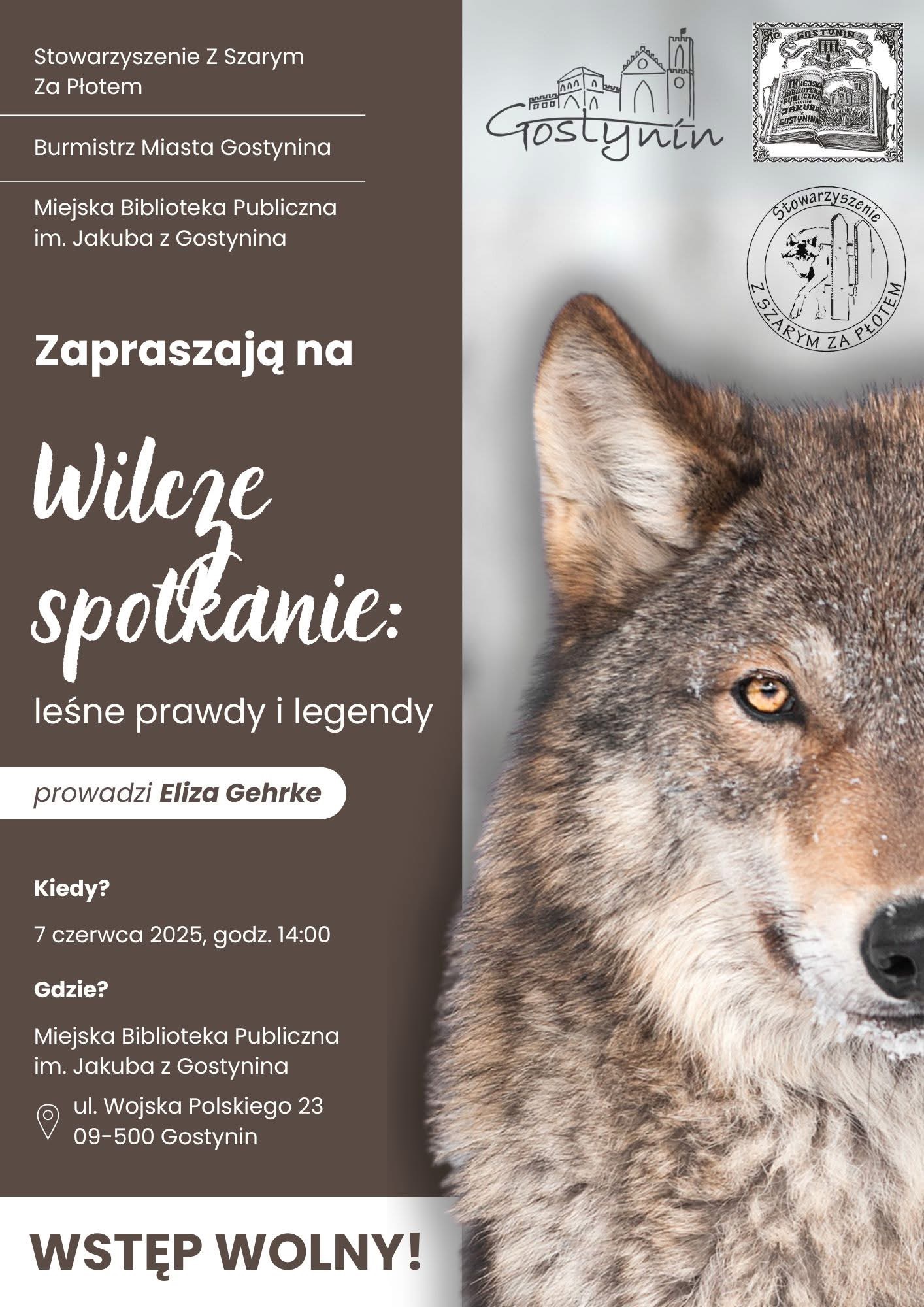 Spotkanie z wilkiem – nie taki straszny, jak go malują!