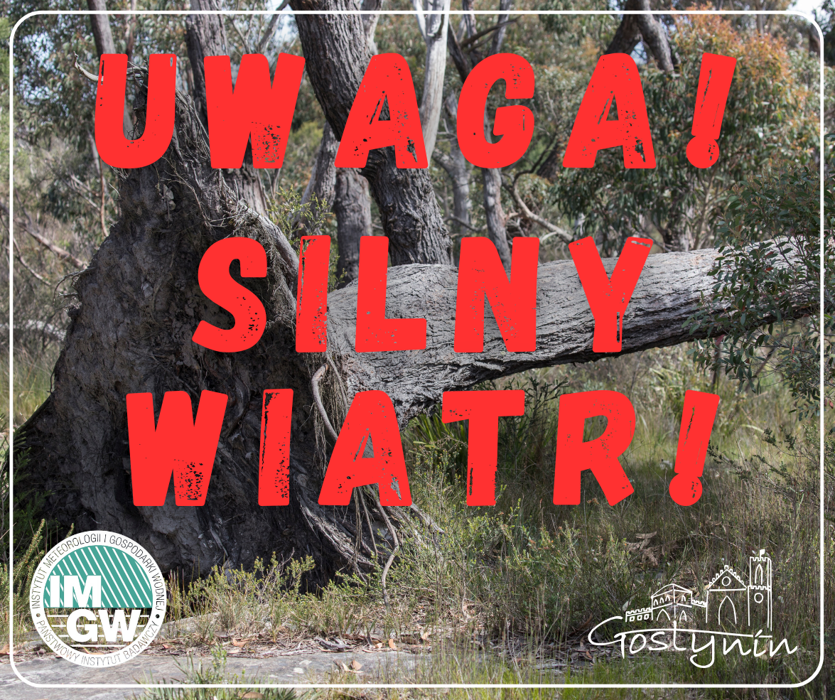 Uwaga! Silny wiatr!