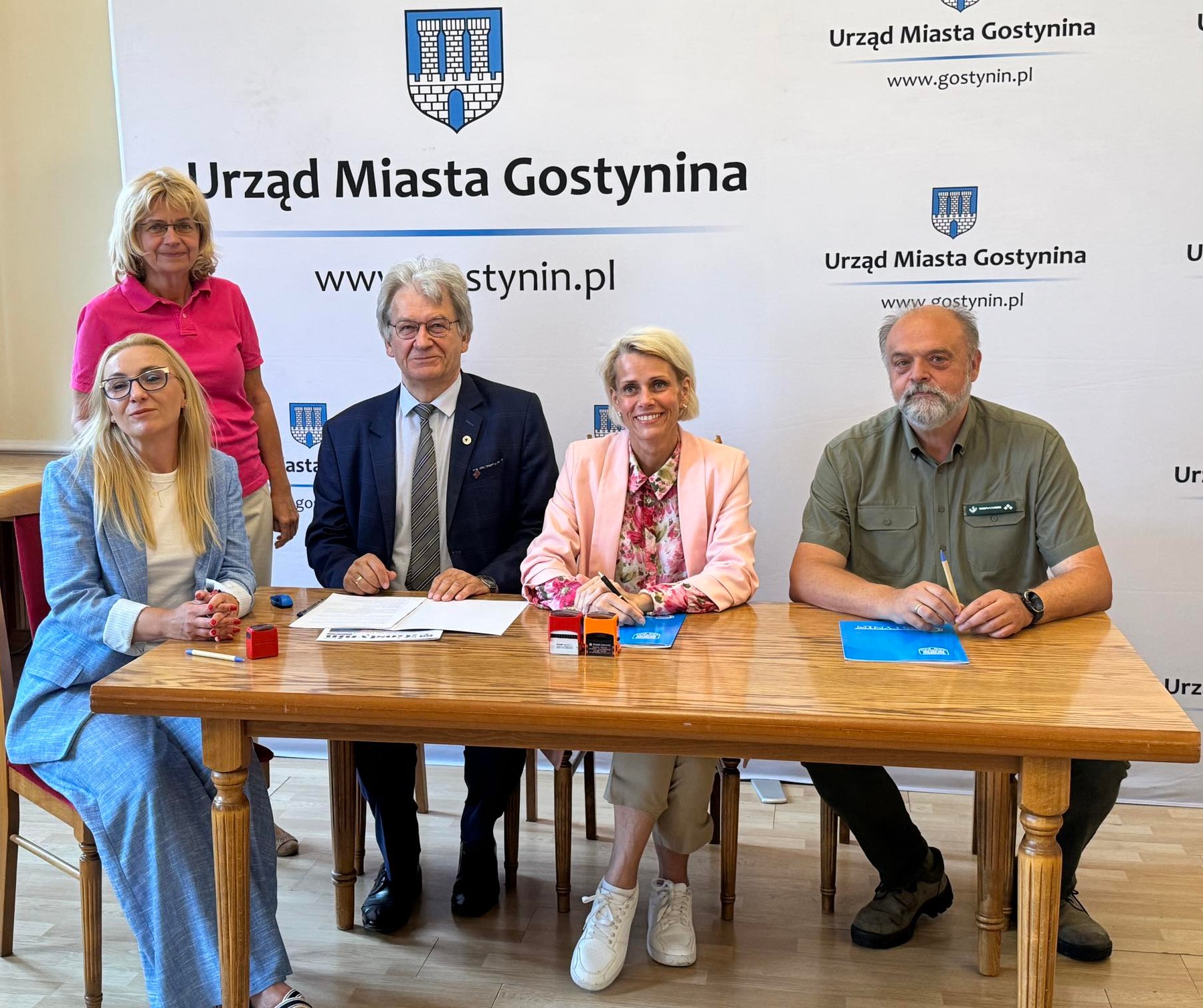 Grodzisko w Gostyninie