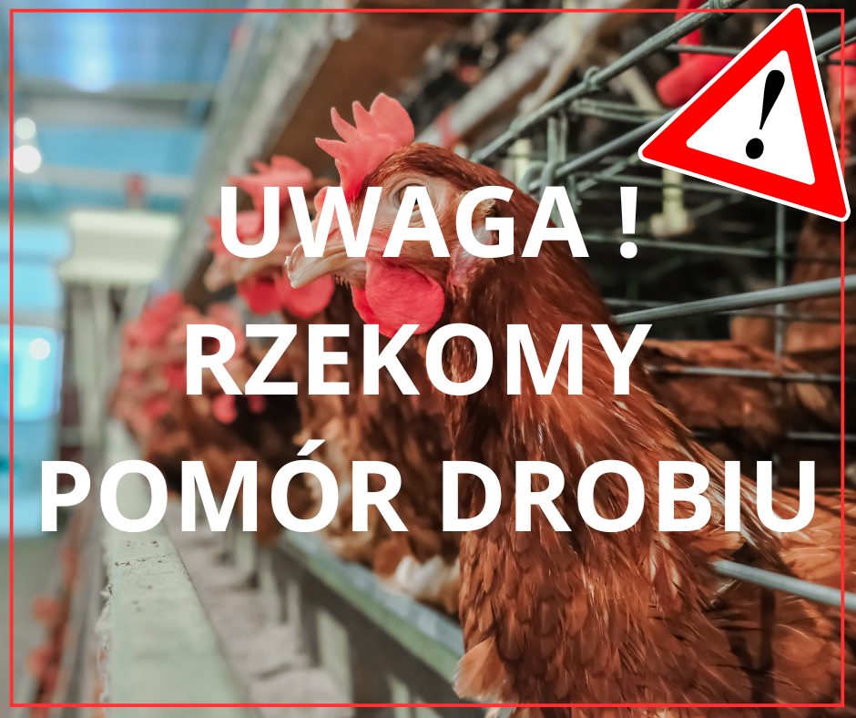 Rozporządzenie Wojewody Mazowieckiego w sprawie zwalczania rzekomego pomoru drobiu