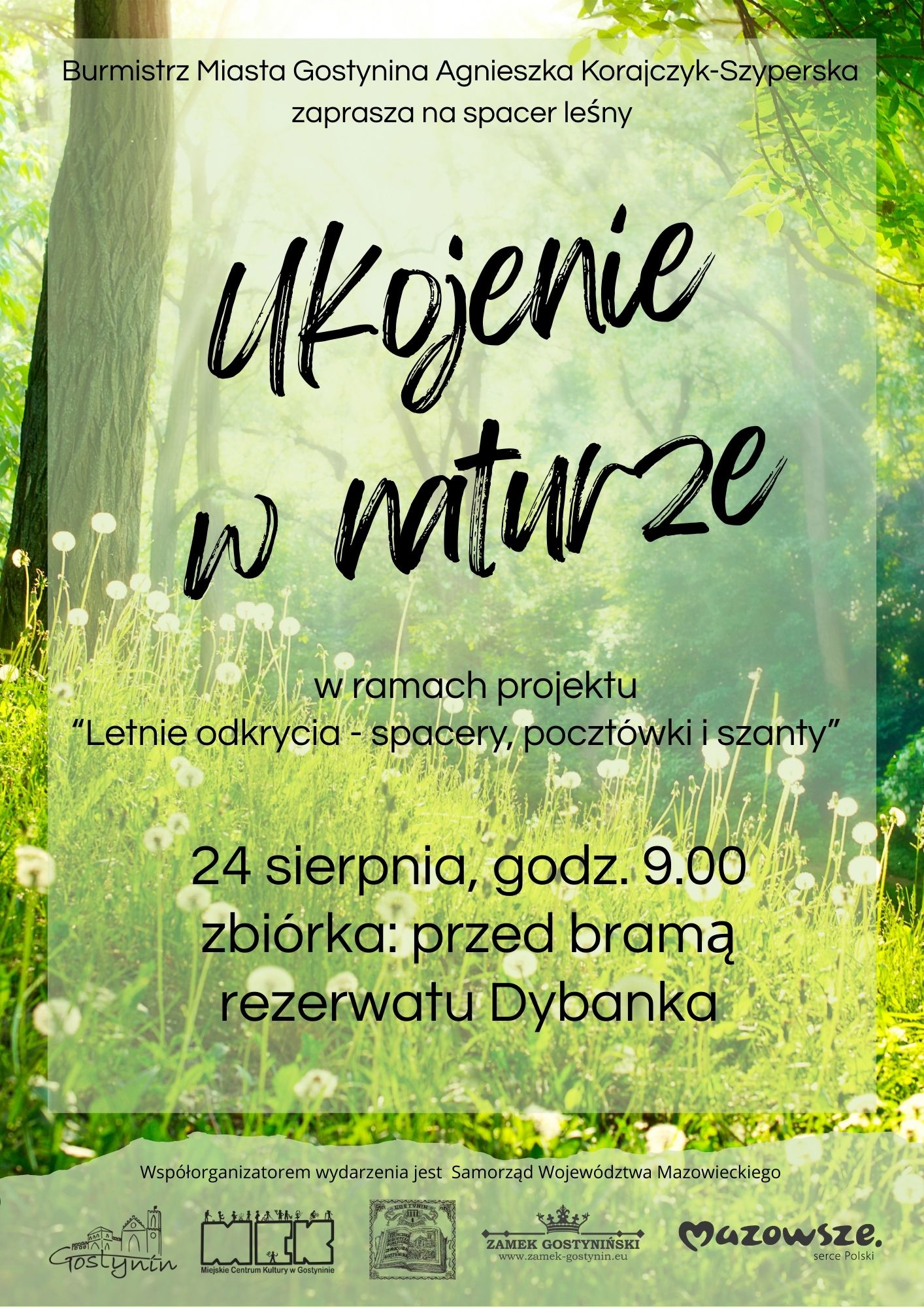 Zapraszamy na leśny spacer – ukojenie w naturze