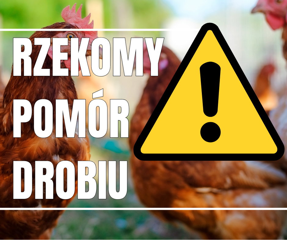 Rozporządzenie Wojewody Mazowieckiego w sprawie zwalczania rzekomego pomoru drobiu