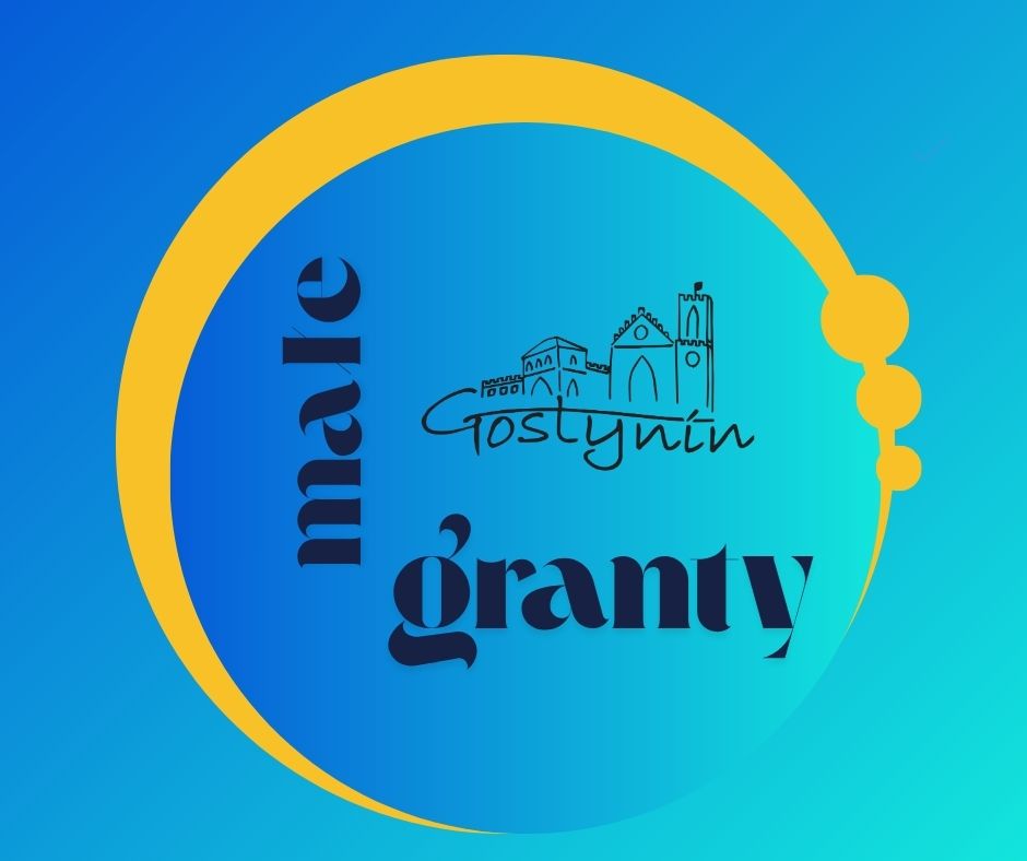 Oferta Futsal Team Gostynin w formie małej dotacji