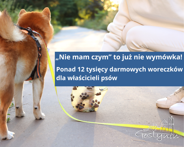 Sprzątaj po swoim psie – bezpłatne woreczki czekają w Urzędzie Miasta!