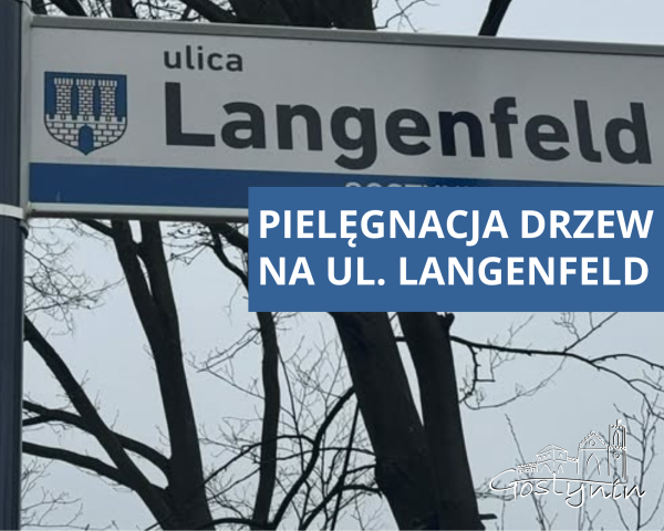 Pielęgnacja drzew na ul. Langenfeld