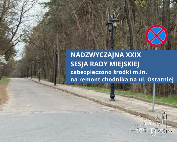 Nadzwyczajna sesja Rady Miejskiej w Gostyninie