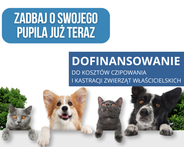 Dofinansowanie zabiegów czipowania i kastracji zwierząt właścicielskich w Gostyninie