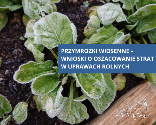 Przymrozki wiosenne – wnioski o oszacowanie strat w uprawach rolnych